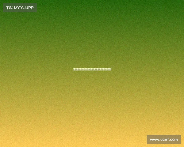 体育赛事接待创新升级全方位服务提升赛事体验共创辉煌